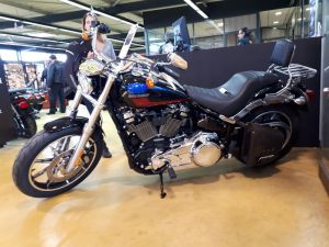 Sacoches Myleatherbikes Softail Streetbob Low rider (2)